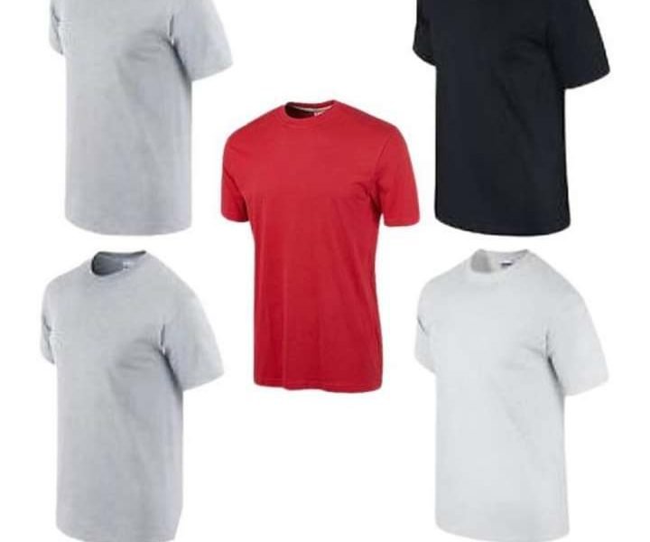 Lot de 5 t-shirts coton pr hommes