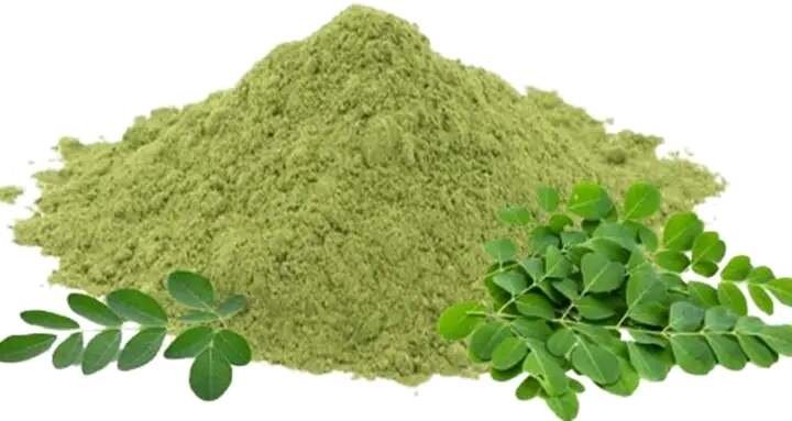 Poudre de moringa